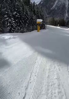 В Домбае в Карачаево-Черкесии волк преследовал сноубордиста на горнолыжной тр...